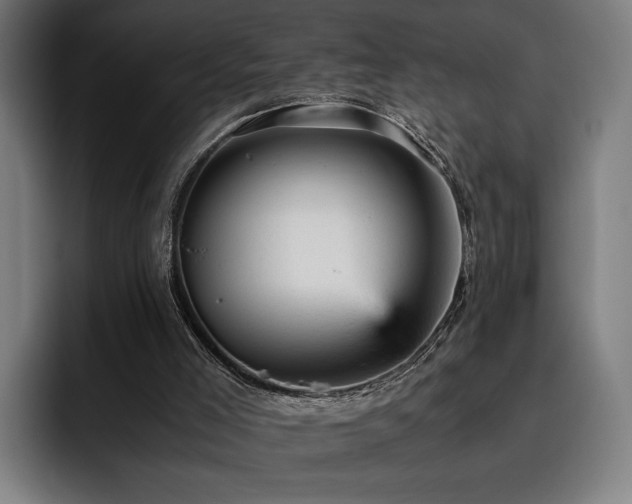 X0000093430005200710121211