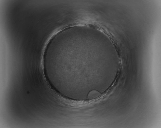 X0000093430006200710121211