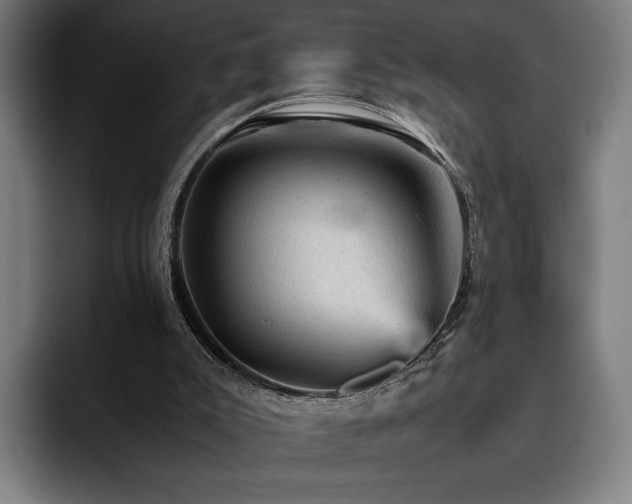 X0000093430007200710121211