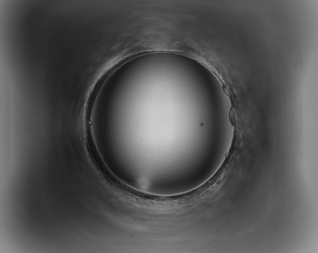 X0000093430008200710121210