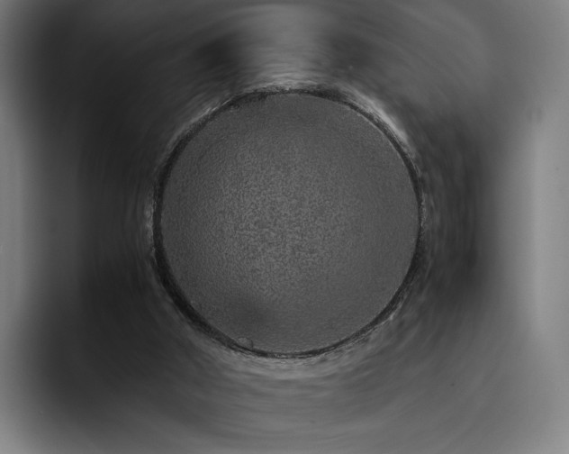 X0000093430010200710121210