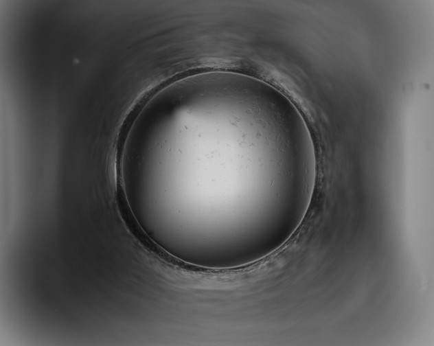 X0000093430011200710121210