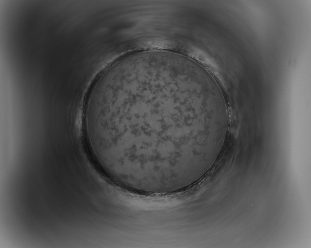 X0000093430012200710121210