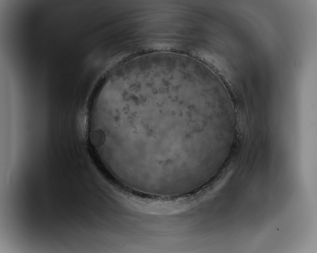X0000093430016200710121210
