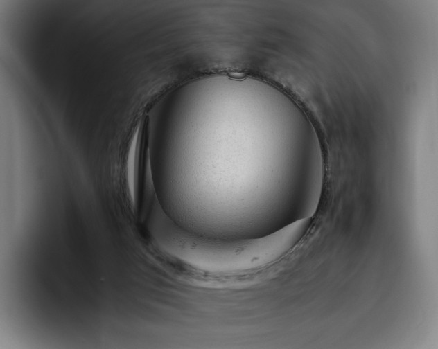 X0000093430017200710121210