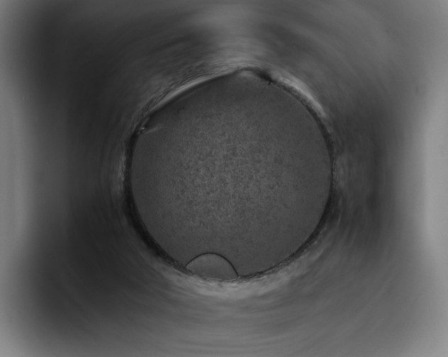 X0000093430018200710121210