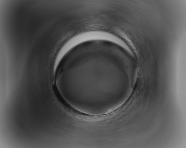 X0000093430019200710121210