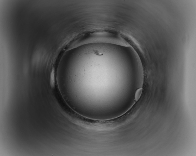 X0000093430020200710121210