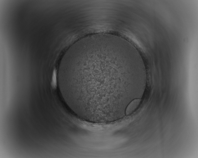 X0000093430022200710121210