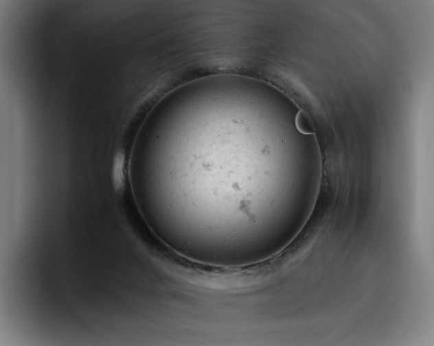 X0000093430024200710121210