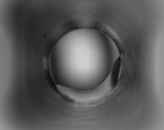 X0000093430025200710121210