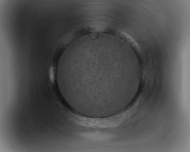 X0000093430026200710121210