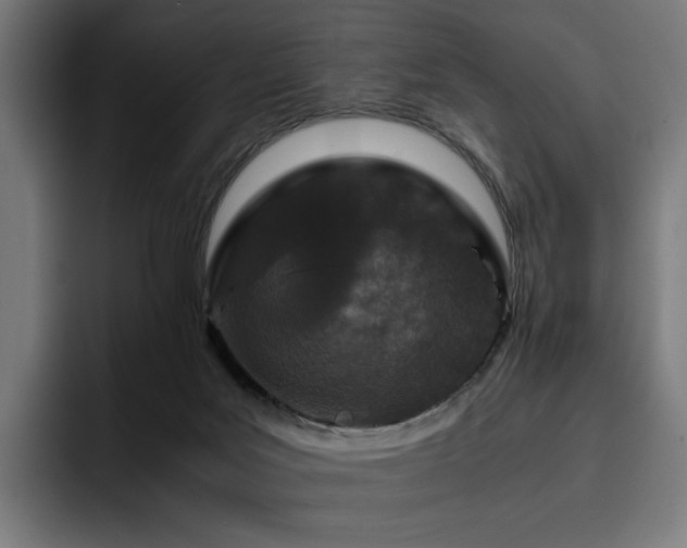 X0000093430027200710121210