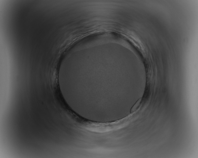 X0000093430029200710121210