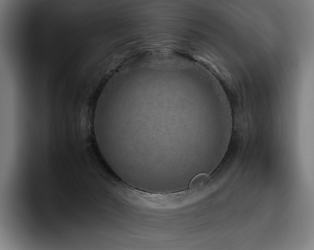 X0000093430030200710121210