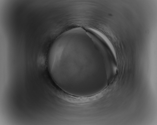 X0000093430031200710121210