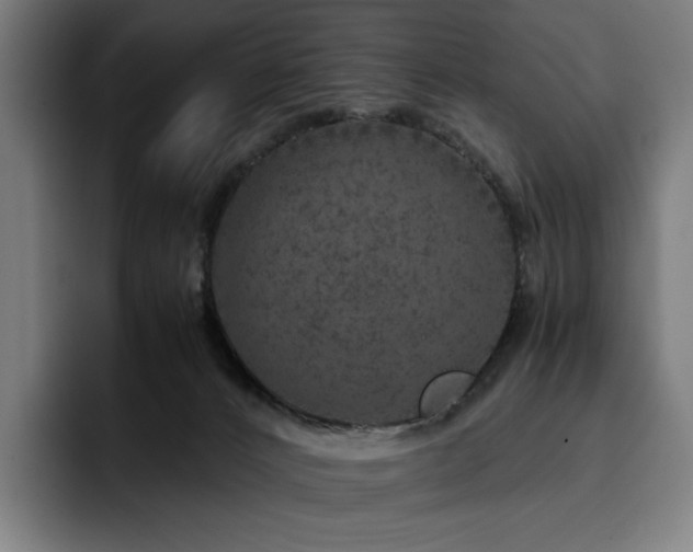 X0000093430032200710121210