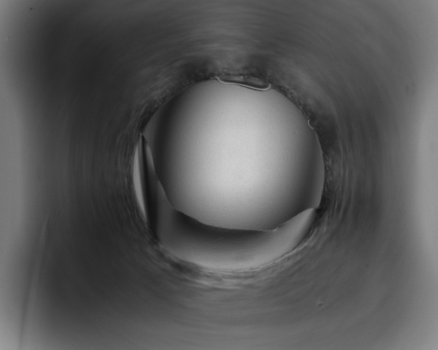 X0000093430033200710121210