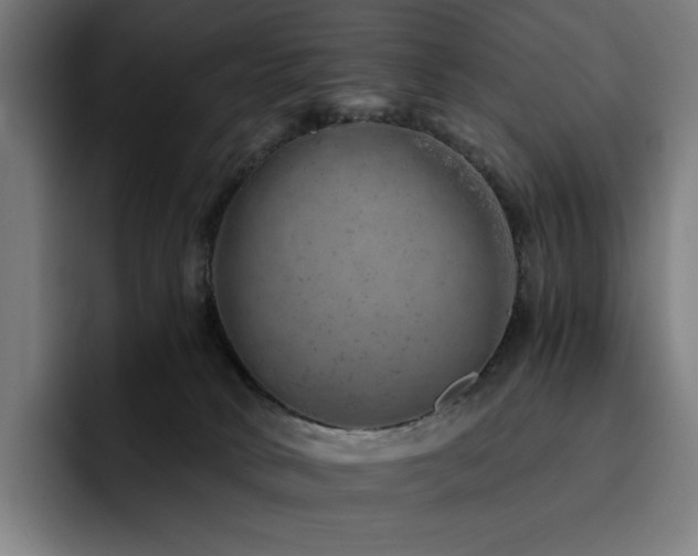 X0000093430034200710121210