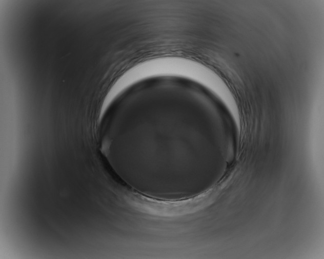 X0000093430035200710121210