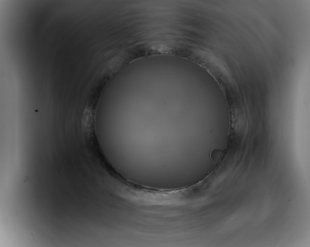 X0000093430036200710121210