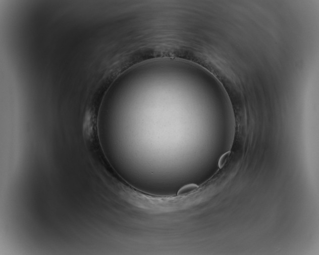 X0000093430038200710121210