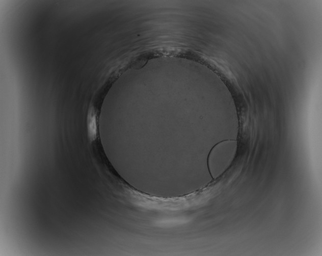 X0000093430042200710121210