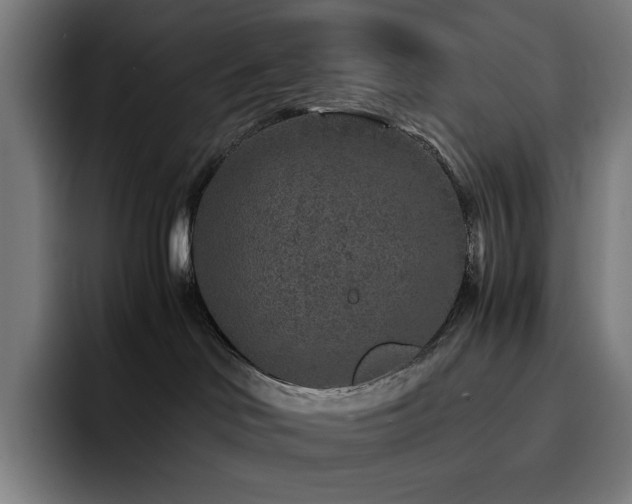 X0000093430046200710121210