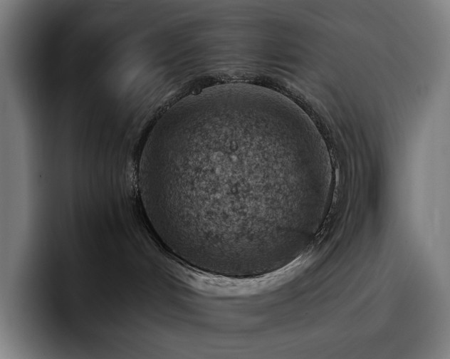 X0000093430048200710121210