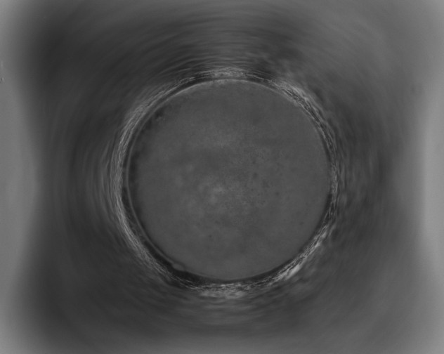 X0000093430049200710121209