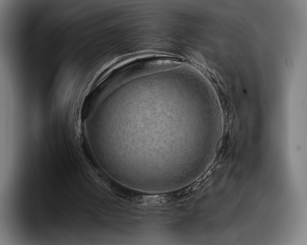 X0000093430050200710121209