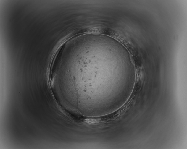 X0000093430051200710121209
