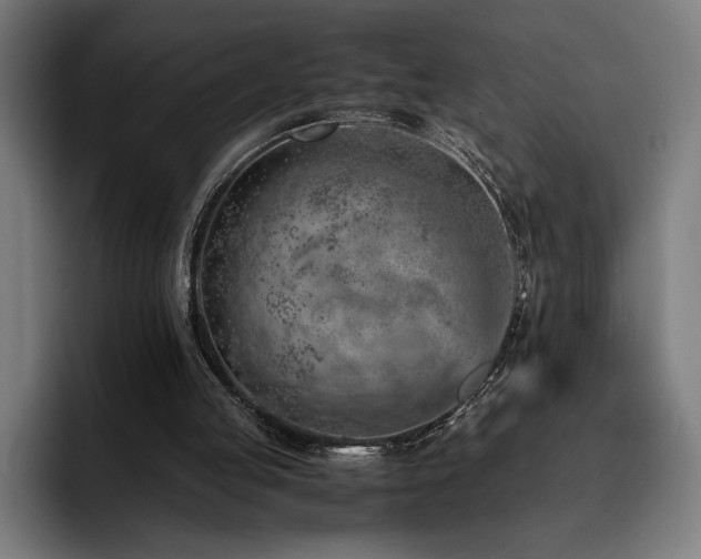 X0000093430053200710121209