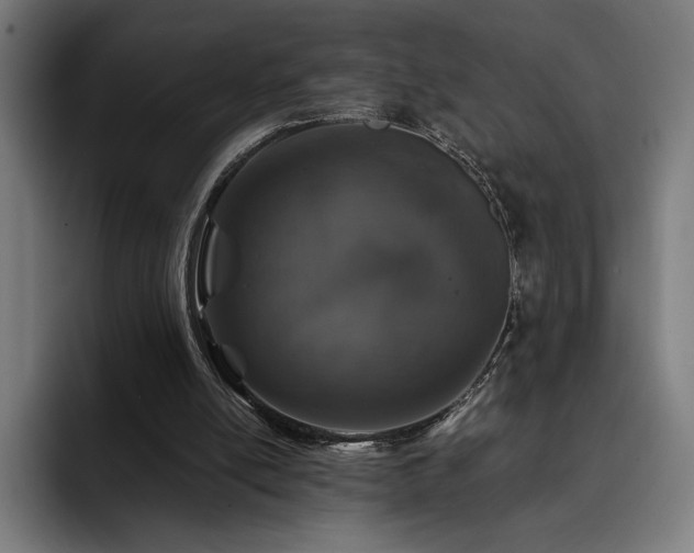 X0000093430054200710121209