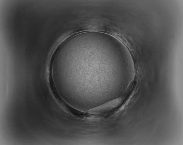 X0000093430055200710121209