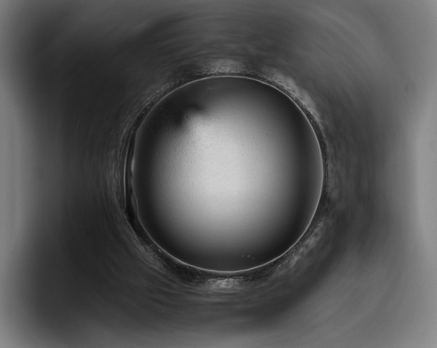 X0000093430057200710121209