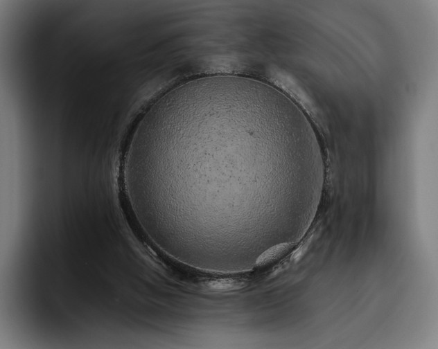 X0000093430058200710121209