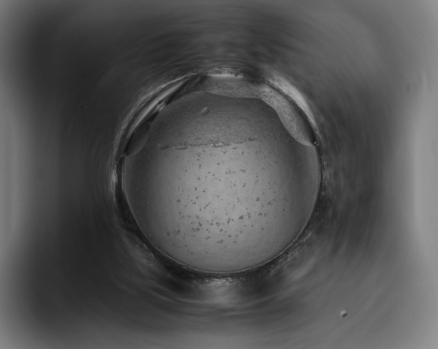 X0000093430059200710121209