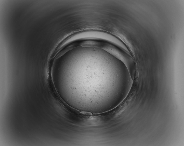 X0000093430060200710121209