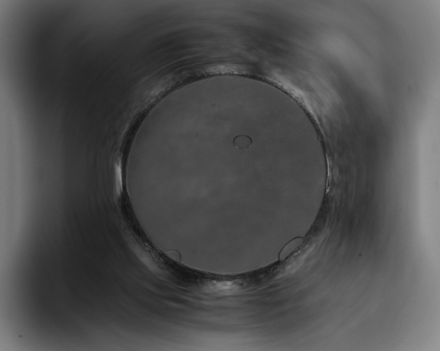 X0000093430061200710121209