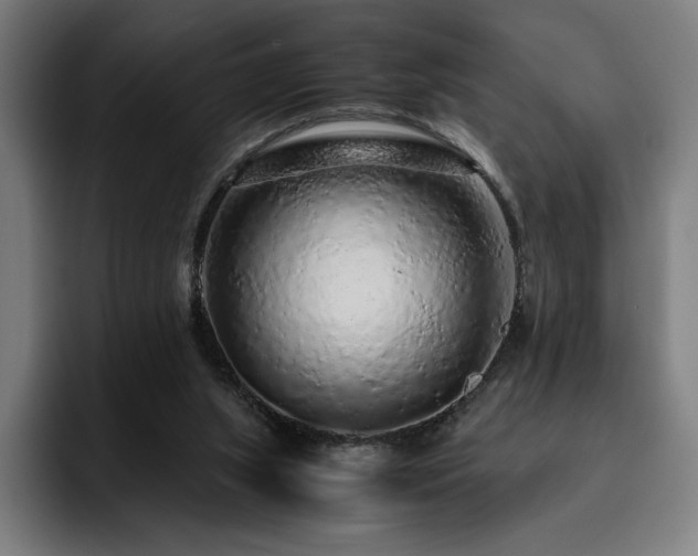 X0000093430063200710121209