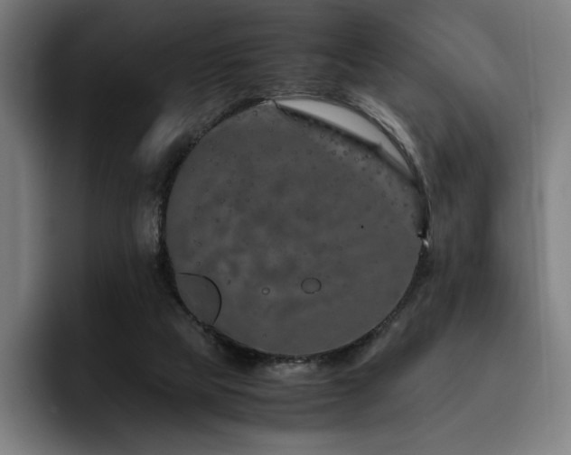 X0000093430065200710121209