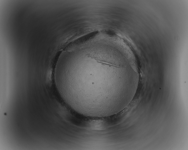 X0000093430066200710121209