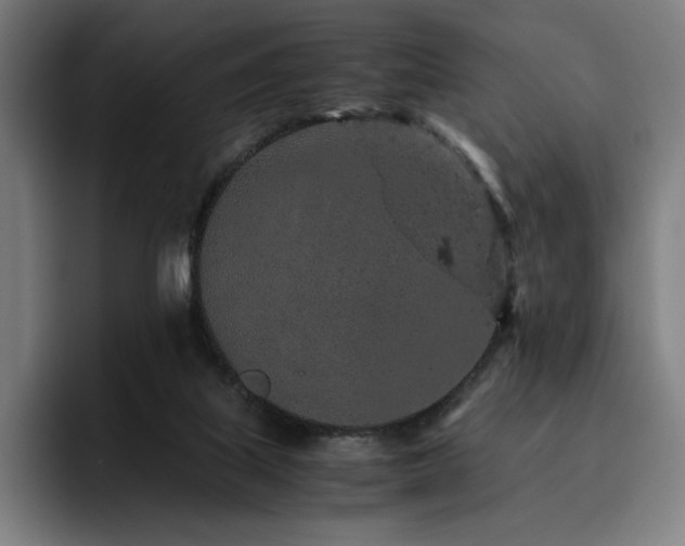 X0000093430067200710121210