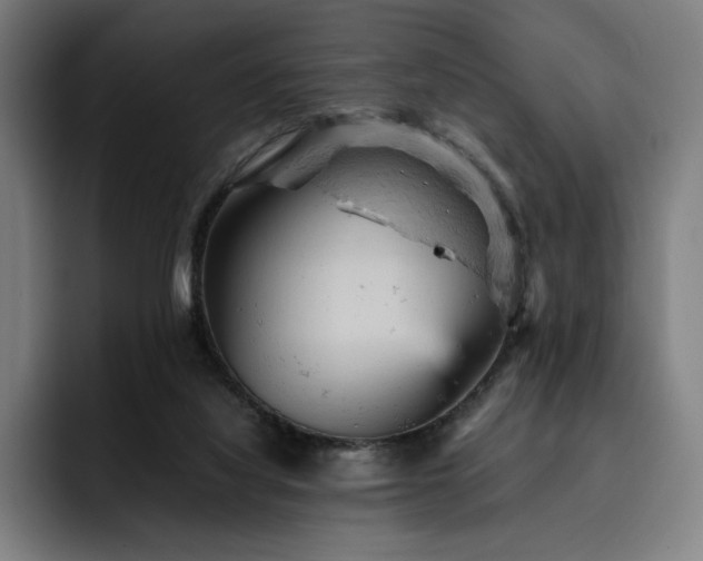 X0000093430068200710121210
