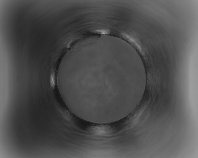 X0000093430069200710121210
