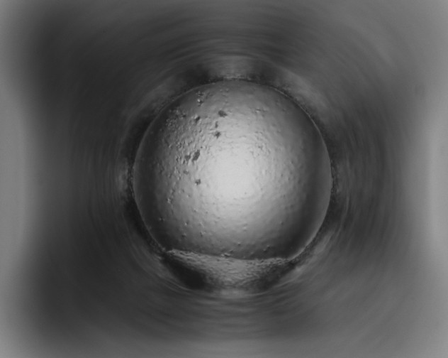 X0000093430073200710121210
