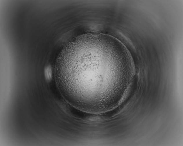 X0000093430075200710121210