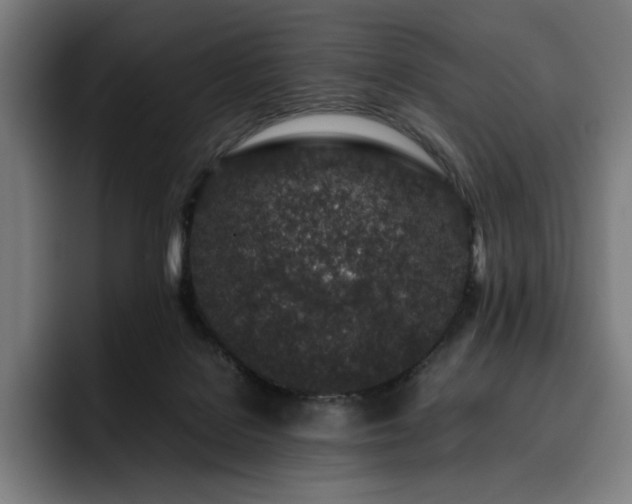 X0000093430076200710121210