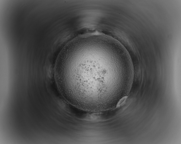 X0000093430078200710121210